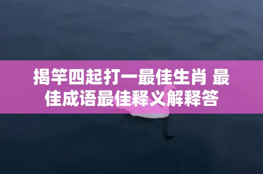 揭竿四起打一最佳生肖 最佳成语最佳释义解释答