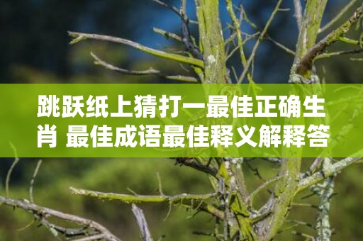 跳跃纸上猜打一最佳正确生肖 最佳成语最佳释义解释答