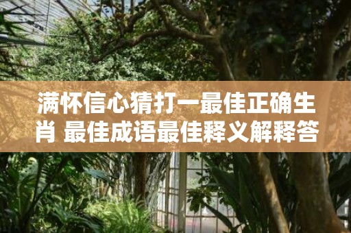 满怀信心猜打一最佳正确生肖 最佳成语最佳释义解释答