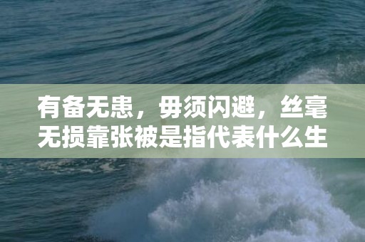 有备无患，毋须闪避，丝毫无损靠张被是指代表什么生肖·成语释义解释落实