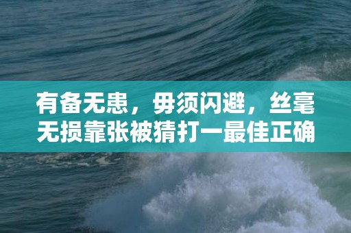 有备无患，毋须闪避，丝毫无损靠张被猜打一最佳正确生肖，是指什么生肖，成语解释释义正确落实
