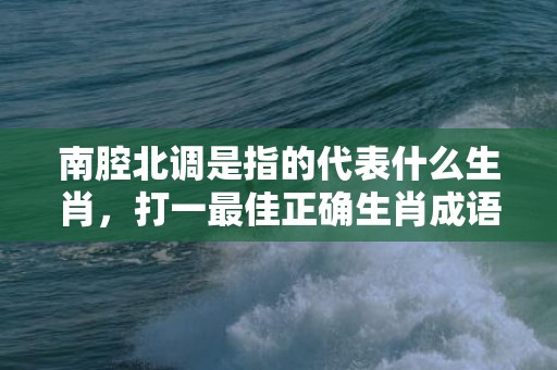 南腔北调是指的代表什么生肖，打一最佳正确生肖成语解释落实释义