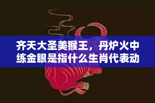 齐天大圣美猴王，丹炉火中练金眼是指什么生肖代表动物，打一最佳生肖成语释义解释落实
