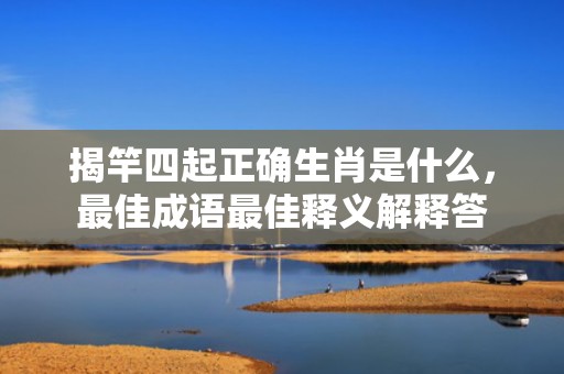 揭竿四起正确生肖是什么，最佳成语最佳释义解释答