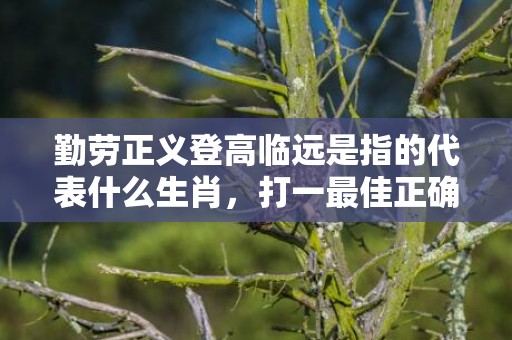 勤劳正义登高临远是指的代表什么生肖，打一最佳正确生肖成语解释落实释义