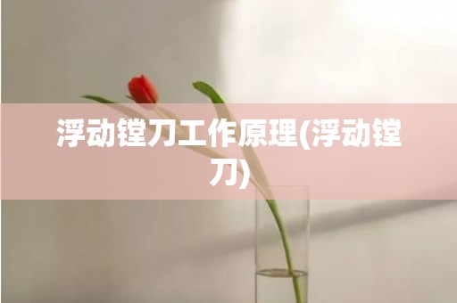 浮动镗刀工作原理(浮动镗刀)