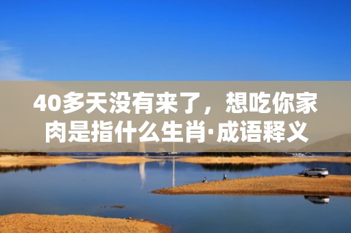 40多天没有来了，想吃你家肉是指什么生肖·成语释义解释落实