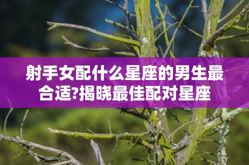 射手女配什么星座的男生最合适?揭晓最佳配对星座