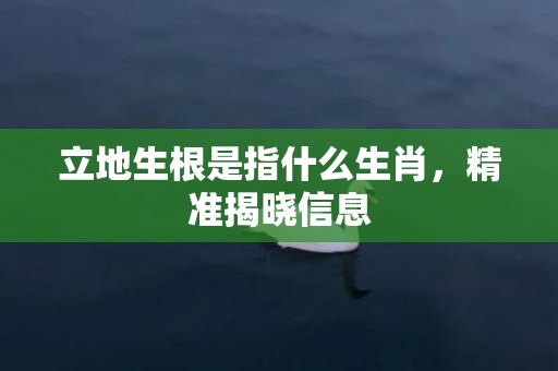 立地生根是指什么生肖，精准揭晓信息