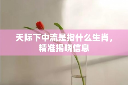 天际下中流是指什么生肖，精准揭晓信息