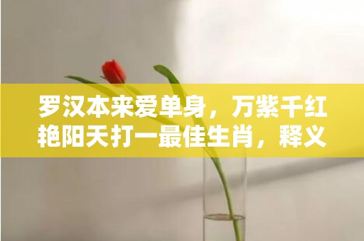 罗汉本来爱单身，万紫千红艳阳天打一最佳生肖，释义成语解释落实