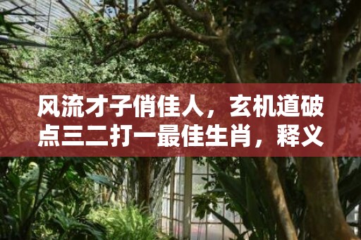 风流才子俏佳人，玄机道破点三二打一最佳生肖，释义成语解释落实