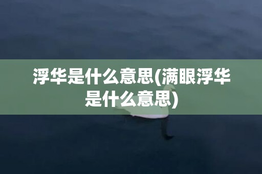 浮华是什么意思(满眼浮华是什么意思)