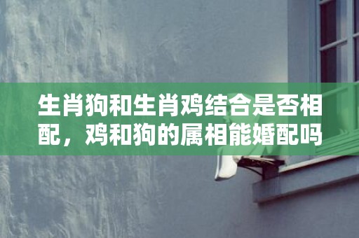 生肖狗和生肖鸡结合是否相配，鸡和狗的属相能婚配吗