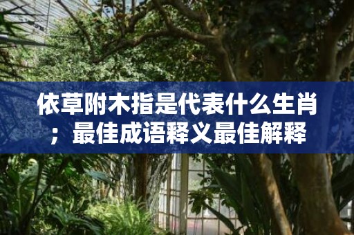 依草附木指是代表什么生肖；最佳成语释义最佳解释