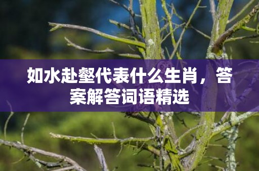 如水赴壑代表什么生肖，答案解答词语精选
