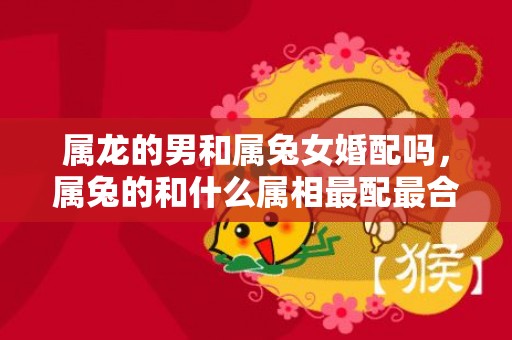 属龙的男和属兔女婚配吗，属兔的和什么属相最配最合适