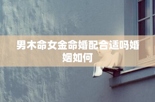 男木命女金命婚配合适吗婚姻如何