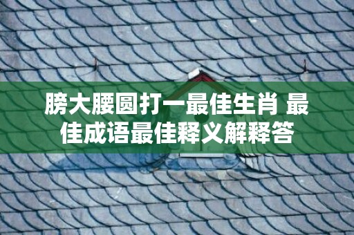 膀大腰圆打一最佳生肖 最佳成语最佳释义解释答