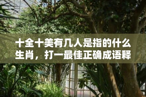 十全十美有几人是指的什么生肖，打一最佳正确成语释义解释落实
