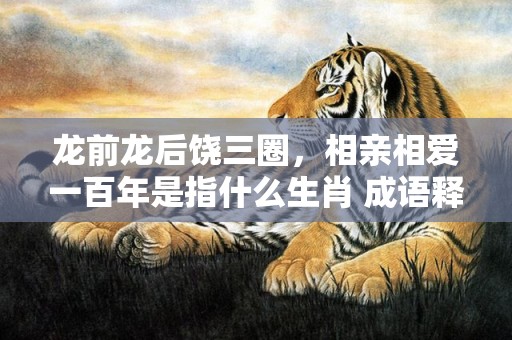 龙前龙后饶三圈，相亲相爱一百年是指什么生肖 成语释义解释落实