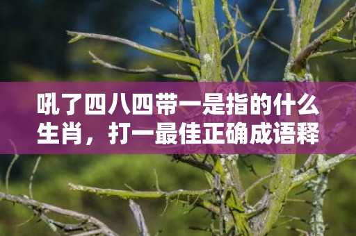吼了四八四带一是指的什么生肖，打一最佳正确成语释义解释落实