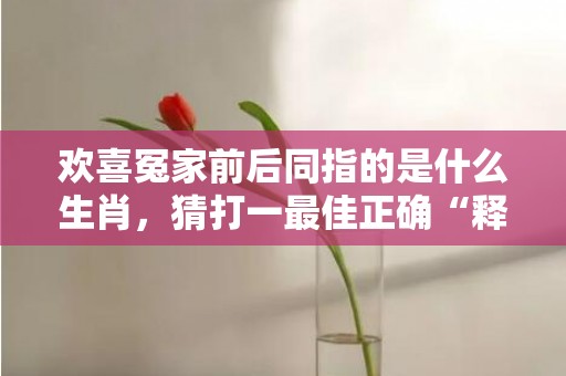 欢喜冤家前后同指的是什么生肖，猜打一最佳正确“释义成语解释落实”
