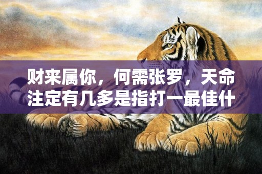 财来属你，何需张罗，天命注定有几多是指打一最佳什么生肖“释义成语解释落实”