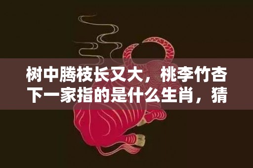 树中腾枝长又大，桃李竹杏下一家指的是什么生肖，猜打一最佳正确成语解释落实