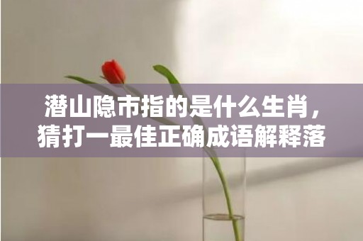 潜山隐市指的是什么生肖，猜打一最佳正确成语解释落实