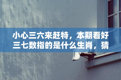 小心三六来赶特，本期看好三七数指的是什么生肖，猜打一最佳正确成语解释落实
