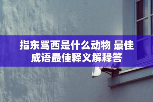 指东骂西是什么动物 最佳成语最佳释义解释答