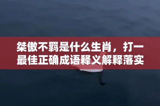 桀傲不羁是什么生肖，打一最佳正确成语释义解释落实