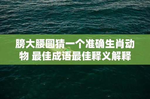 膀大腰圆猜一个准确生肖动物 最佳成语最佳释义解释答