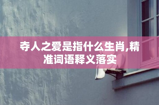夺人之爱是指什么生肖,精准词语释义落实