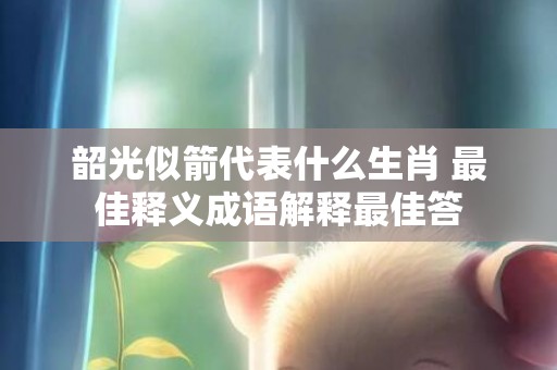 韶光似箭代表什么生肖 最佳释义成语解释最佳答