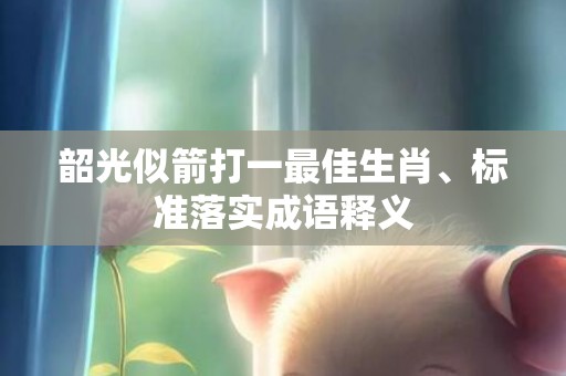 韶光似箭打一最佳生肖、标准落实成语释义
