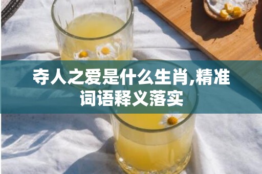 夺人之爱是什么生肖,精准词语释义落实