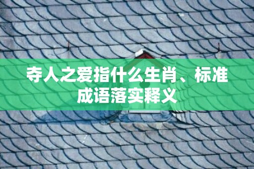 夺人之爱指什么生肖、标准成语落实释义