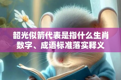 韶光似箭代表是指什么生肖数字、成语标准落实释义