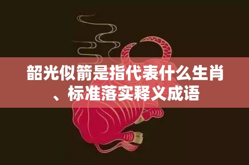 韶光似箭是指代表什么生肖、标准落实释义成语