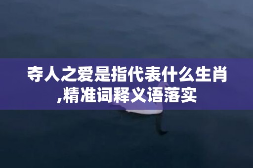 夺人之爱是指代表什么生肖,精准词释义语落实