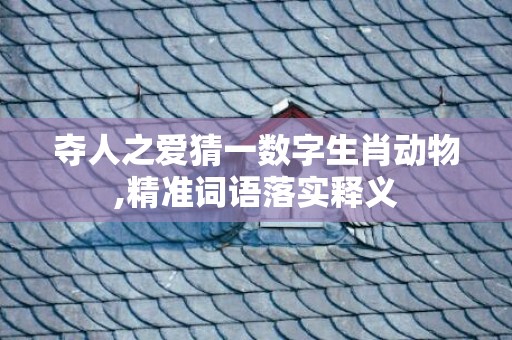 夺人之爱猜一数字生肖动物,精准词语落实释义