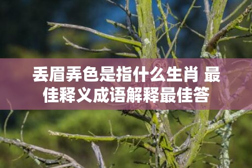 丢眉弄色是指什么生肖 最佳释义成语解释最佳答