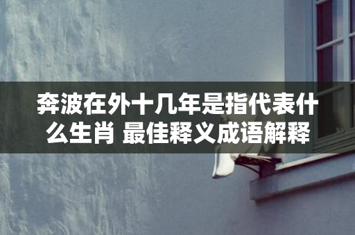 奔波在外十几年是指代表什么生肖 最佳释义成语解释最佳答