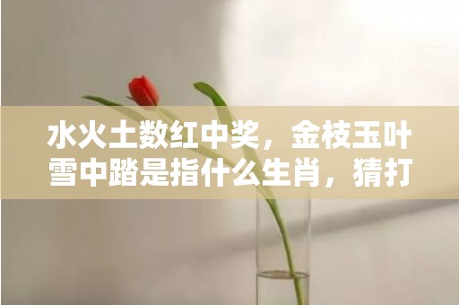 水火土数红中奖，金枝玉叶雪中踏是指什么生肖，猜打一最佳最佳释义成语解释最佳答