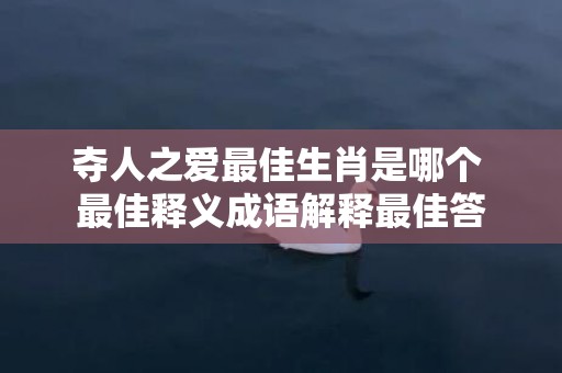 夺人之爱最佳生肖是哪个 最佳释义成语解释最佳答