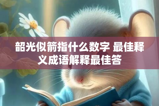 韶光似箭指什么数字 最佳释义成语解释最佳答