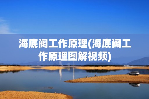 海底阀工作原理(海底阀工作原理图解视频)
