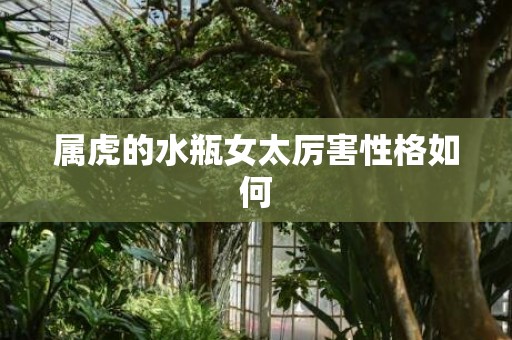 属虎的水瓶女太厉害性格如何
